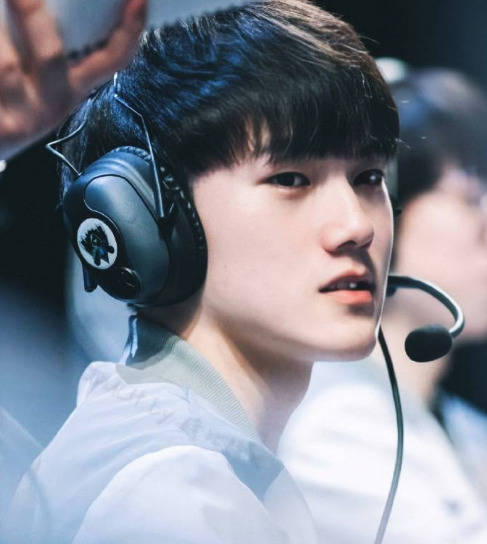 经开始预测 经开始预测