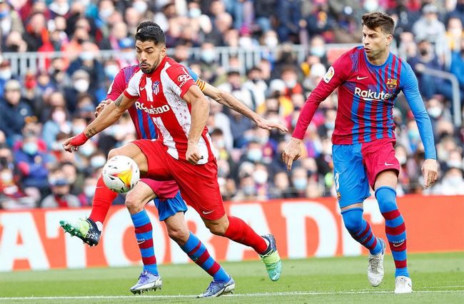 的信任土壤 的信任土壤